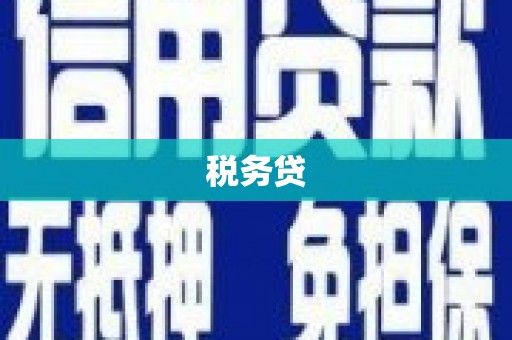 同心税务贷