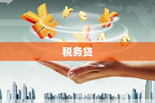 同心税务贷