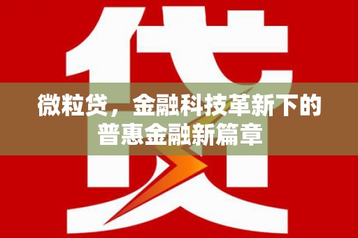 同心微粒贷，金融科技革新下的普惠金融新篇章