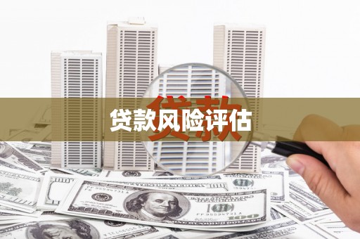 同心贷款风险评估