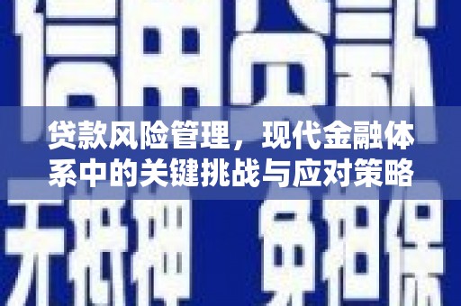 同心贷款风险管理，现代金融体系中的关键挑战与应对策略